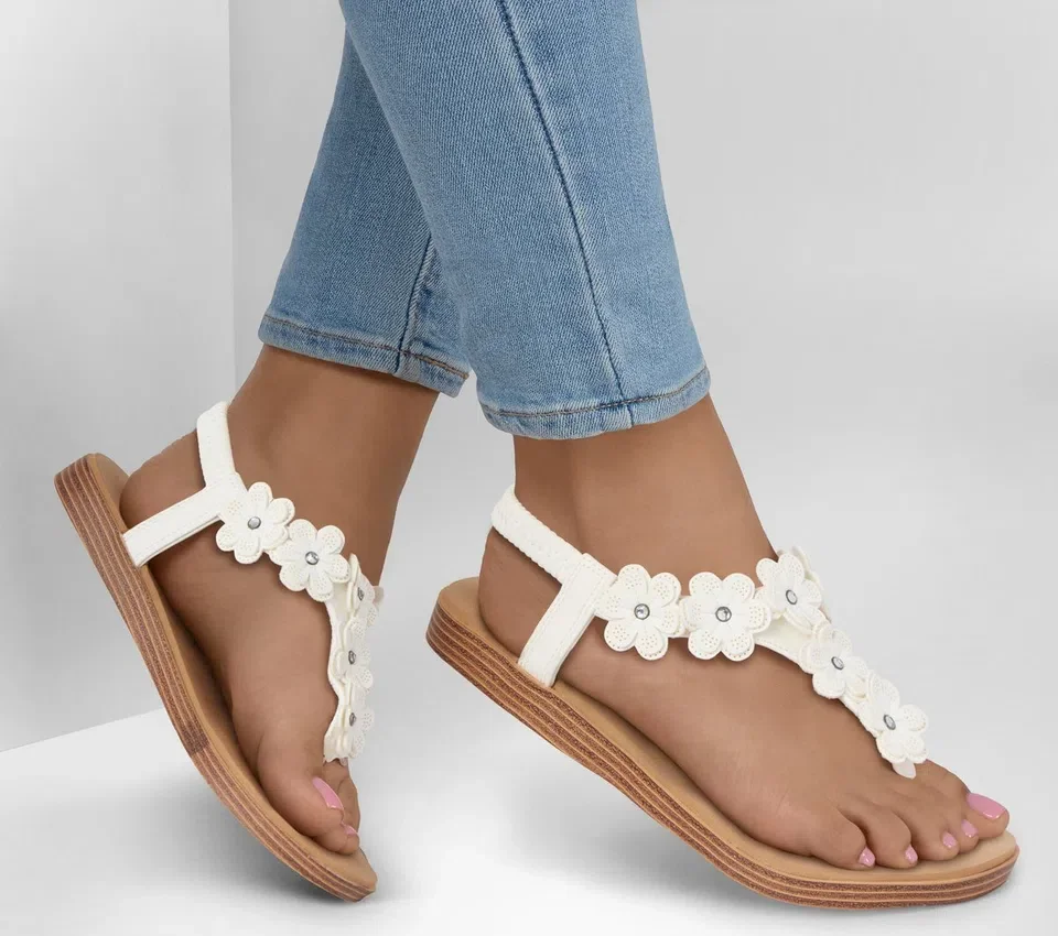 Summer Cove – Beach Bloom Summer Cove – Beach Bloom
